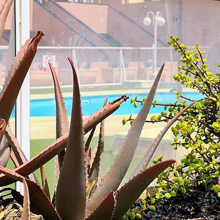 Appartamento Sun Days Corralejo Irent Fuerteventura Esterno foto